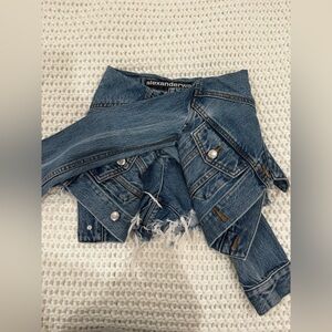 Alexander Wang Frayed Blue Denim Shorts